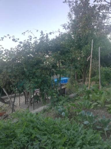 Ca' Clementine Hotel Sasso di Bordighera Kültér fotó